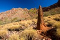 Larapinta_20080609_364 copy